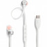 Наушники JBL Tune 310C USB-C White (JBLT310CWHT) (17170)