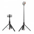 Штатив ACEFAST E31 selfie stick with automatic tripod Black (6974316284888) (15480)