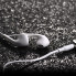 Навушники HOCO M39 Rhyme sound earphones with microphone White (6957531079774) (15301)