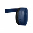 Наушники Panasonic RB-HF420BGEA Blue (RB-HF420BGEA) (16541)