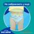 Подгузники Pampers для плавания Splashers Размер 5-6 (14+ кг) 10 шт (8001090728951) (7302)