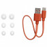 Наушники JBL Wave Buds TWS White (JBLWBUDSWHT) (16632)