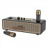 Портативна колонка HOCO BS63 Graceful wireless dual-mic BT speaker, 10W*2, Black (6942007634458) (21203)