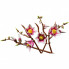 Конструктор LEGO Botanicals Magnolia Branches (11510) (21983)