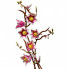Конструктор LEGO Botanicals Magnolia Branches (11510) (21983)