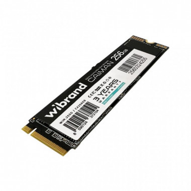 Накопитель SSD M.2 2280 256GB Caiman Wibrand (WIM.2SSD/CA256GB) (19624)