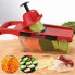Овощерезка с резервуаром и насадками Mandoline Slicer 6в1 измельчитель для овощей и фруктов (22115)