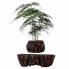 Магнітний левітаційний горщик для рослин HCNT Magnetic Levitating Pot M5B-PW Brown (M005B-PW) (15415)