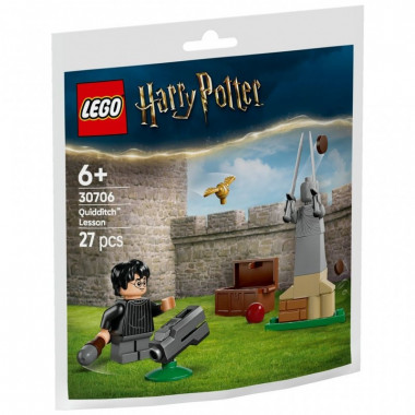 Конструктор LEGO Harry Potter Урок по квиддичу (30706) (7925)