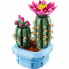 Конструктор LEGO Botanicals Цветение кактуса (11509) (21965)