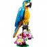 Конструктор LEGO Creator Экзотический попугай 253 детали (31136) (7495)