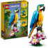 Конструктор LEGO Creator Экзотический попугай 253 детали (31136) (7495)