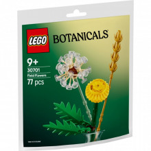 Конструктор LEGO Botanicals Полевые цветы (30701) (7916) Конструктор LEGO Botanicals Полевые цветы (30701) (7916)