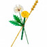 Конструктор LEGO Botanicals Полевые цветы (30701) (7916)