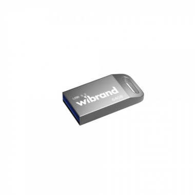 Флеш-накопичувач Wibrand USB 3.2 Gen1 Ant 64GB Silver (WI3.2/AN64M4S) (226)