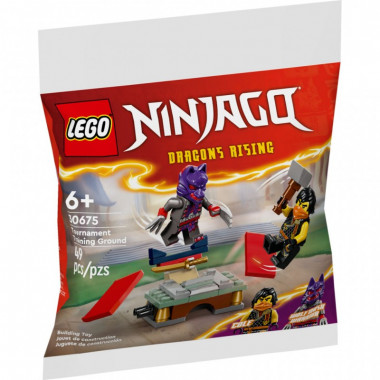 Конструктор LEGO Ninjago Тренировочная база для турнира (30675) (7856)