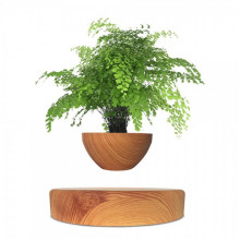 Магнітний левітаційний горщик для рослин HCNT Magnetic Levitating Pot M10-PS Wood Grain (SIM10-PS) (15276)