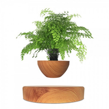 Магнітний левітаційний горщик для рослин HCNT Magnetic Levitating Pot M10-PS Wood Grain (SIM10-PS) (15276)