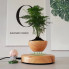 Магнітний левітаційний горщик для рослин HCNT Magnetic Levitating Pot M10-PS Wood Grain (SIM10-PS) (15276)