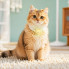 Трекер HOCO E91D Tiger smart anti-lost device(cat collar type) (6942007666107) (19817)