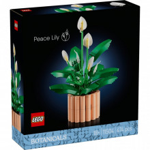 Конструктор LEGO Botanicals Спатифиллум (11504) (21967) Конструктор LEGO Botanicals Спатифиллум (11504) (21967)