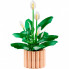 Конструктор LEGO Botanicals Спатифиллум (11504) (21967)