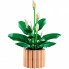 Конструктор LEGO Botanicals Спатифиллум (11504) (21967)