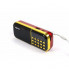 Радиоприёмник с FM USB MicroSD BKK B837 радио на аккумуляторе 18650 (20708)