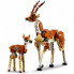Конструктор LEGO Creator Дикие животные сафари 780 деталей (31150) (11908)