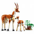 Конструктор LEGO Creator Дикие животные сафари 780 деталей (31150) (11908)