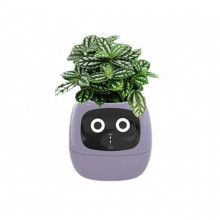 Інтерактивний розумний горщик для рослин Ivy Smart Planter Tuya AI, Purple (ISPTAPR) (15258)
