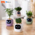 Інтерактивний розумний горщик для рослин Ivy Smart Planter Tuya AI, Purple (ISPTAPR) (15258)