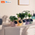 Інтерактивний розумний горщик для рослин Ivy Smart Planter Tuya AI, Purple (ISPTAPR) (15258)