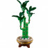 Конструктор LEGO Botanicals Бамбук счастья (10344) (7858)