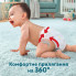 Подгузники Pampers Premium Care Pants Трусики Размер 7 (15+ кг) 36 шт. (8700216339001) (7678)
