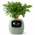 Інтерактивний розумний горщик для рослин Ivy Smart Planter Tuya AI, Green (ISPTAG) (15419)