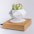Магнітний левітаційний горщик для рослин HCNT Magnetic Levitating Pot M10-FP  Wood Grain (SIM10-FP) (15329)