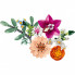 Конструктор LEGO Botanicals Милый розовый букет цветов (10342) (7859)